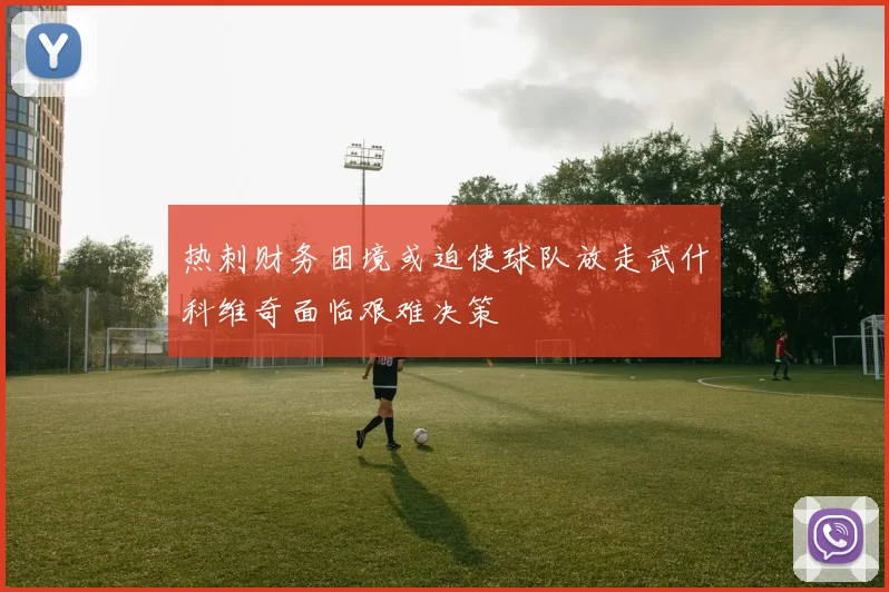 热刺财务困境或迫使球队放走武什科维奇面临艰难决策