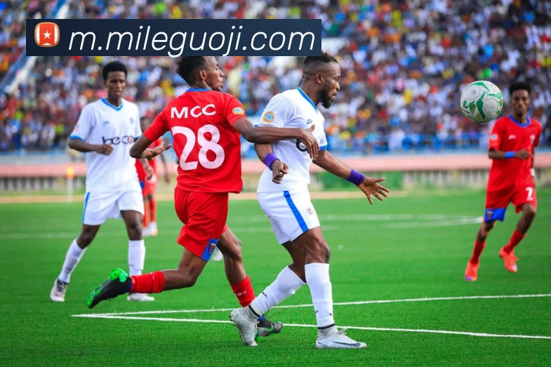 米乐国际服务体系