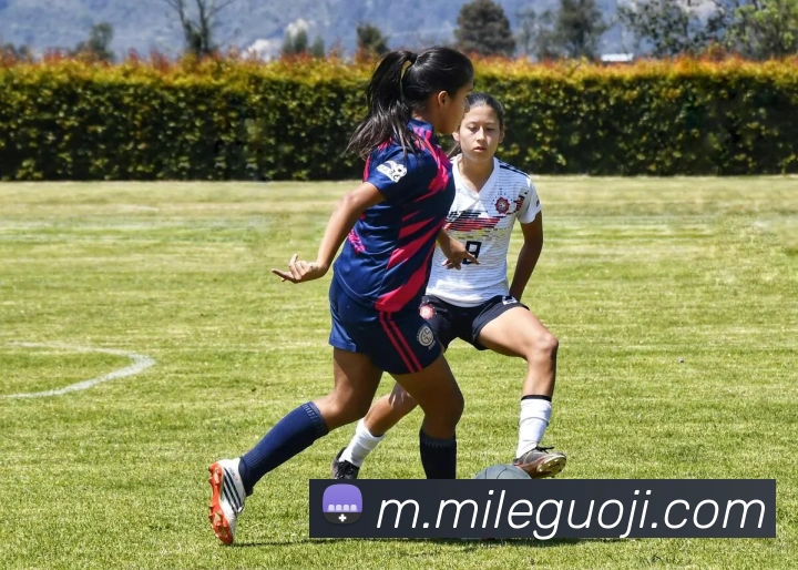 米乐国际APP 体育赛事宣传图