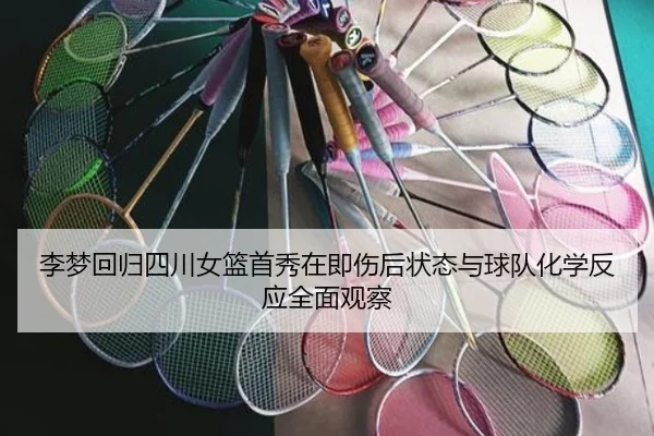 李梦回归四川女篮首秀在即伤后状态与球队化学反应全面观察（M6）